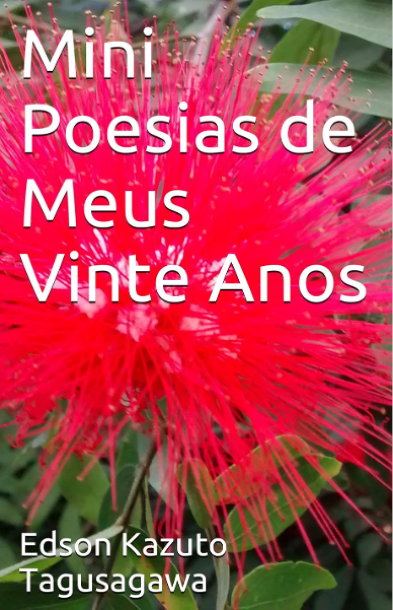 1minipoesias_de_meus_vinte_anos.png