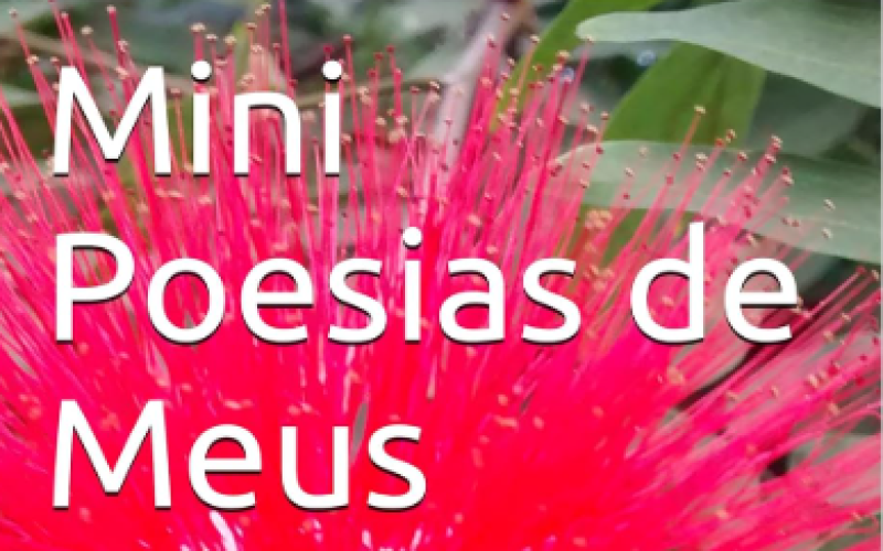 1minipoesias_de_meus_vinte_anos.png