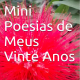 Mini Poesias de Meus Vinte Anos